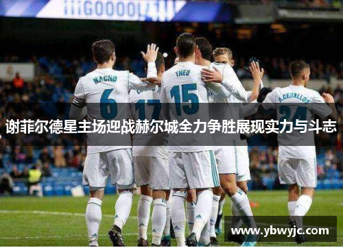 谢菲尔德星主场迎战赫尔城全力争胜展现实力与斗志